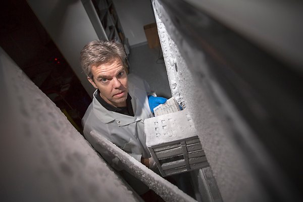 Researcher standing in a freezer holding samples