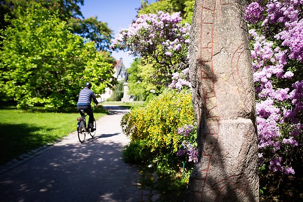 Person on a bicycle passes by a rune stone in a park. Greens and flowers in the background. 